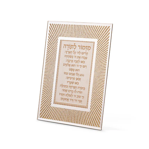 תמונת מוצר 1