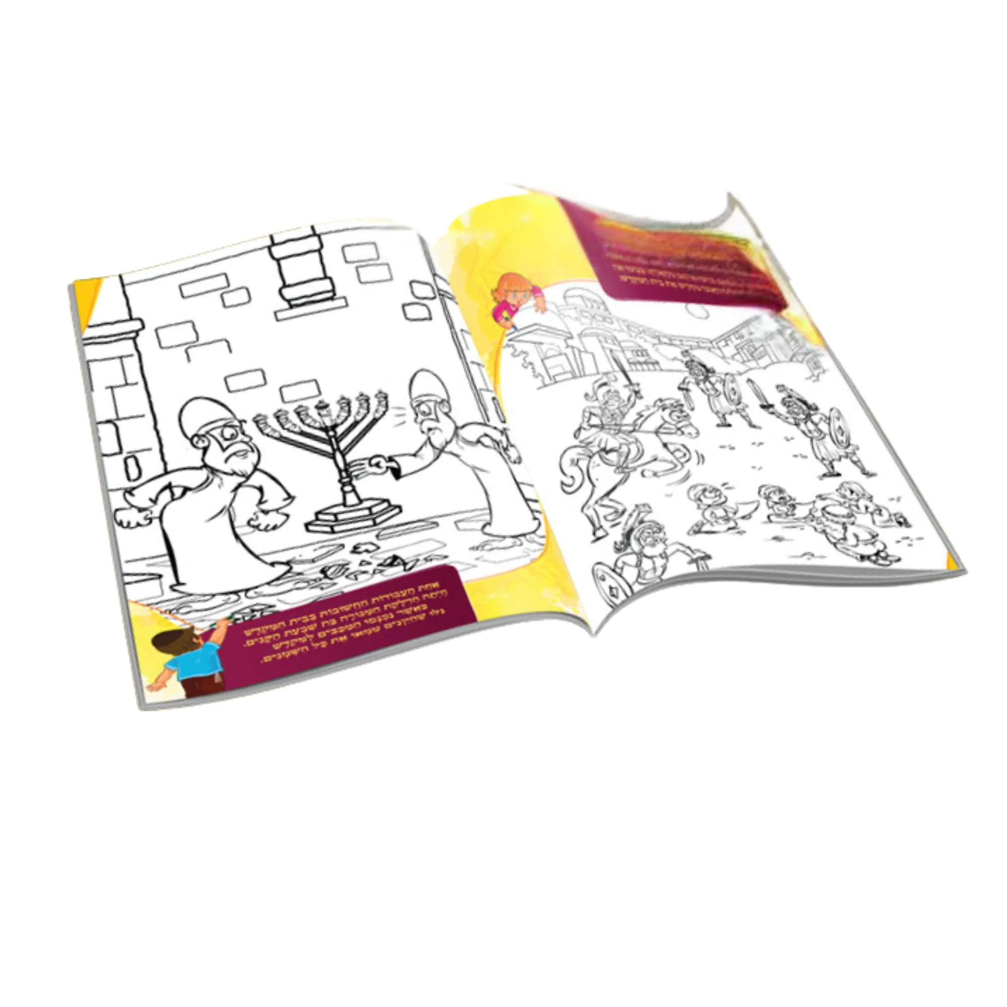 תמונת מוצר 2