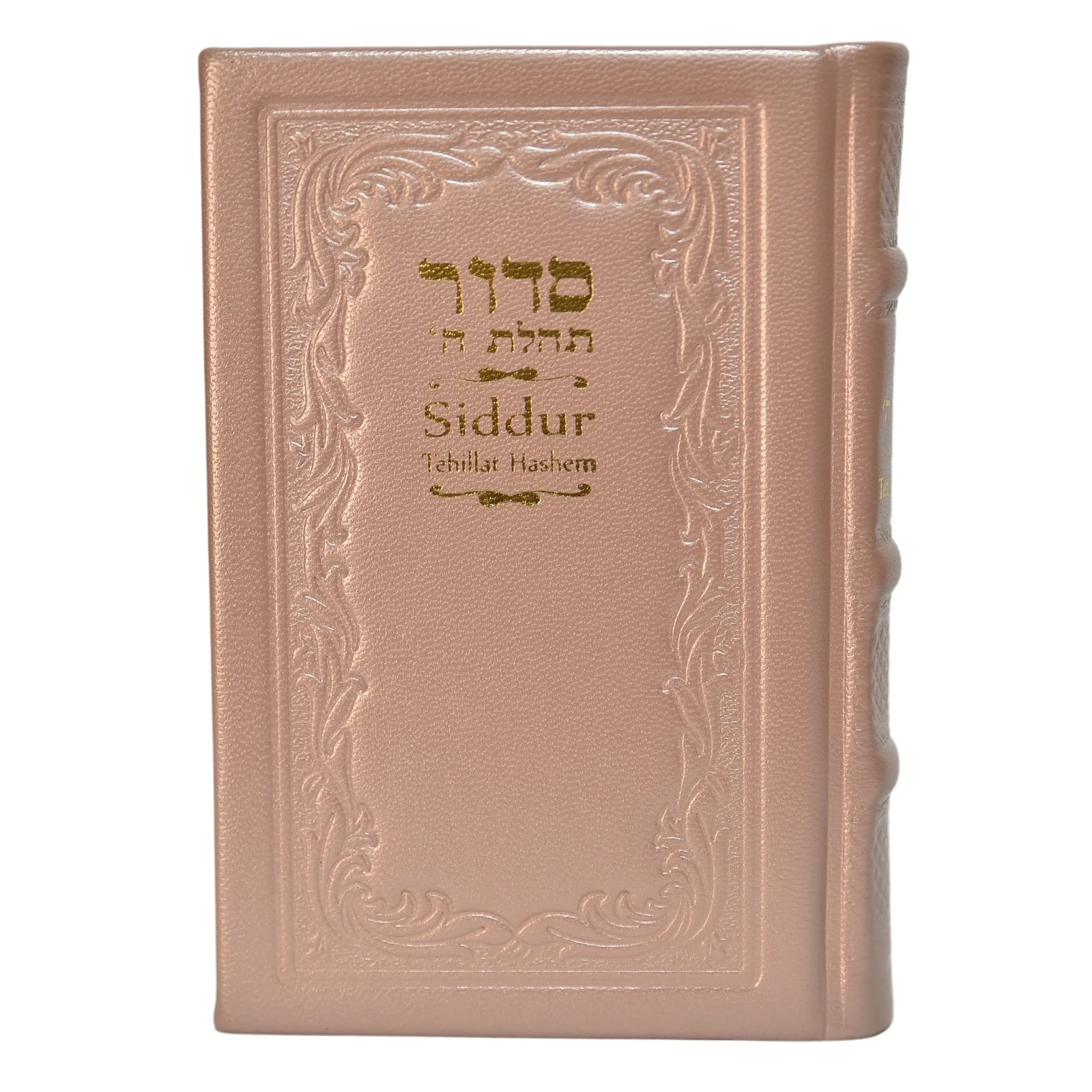 תמונת מוצר 3
