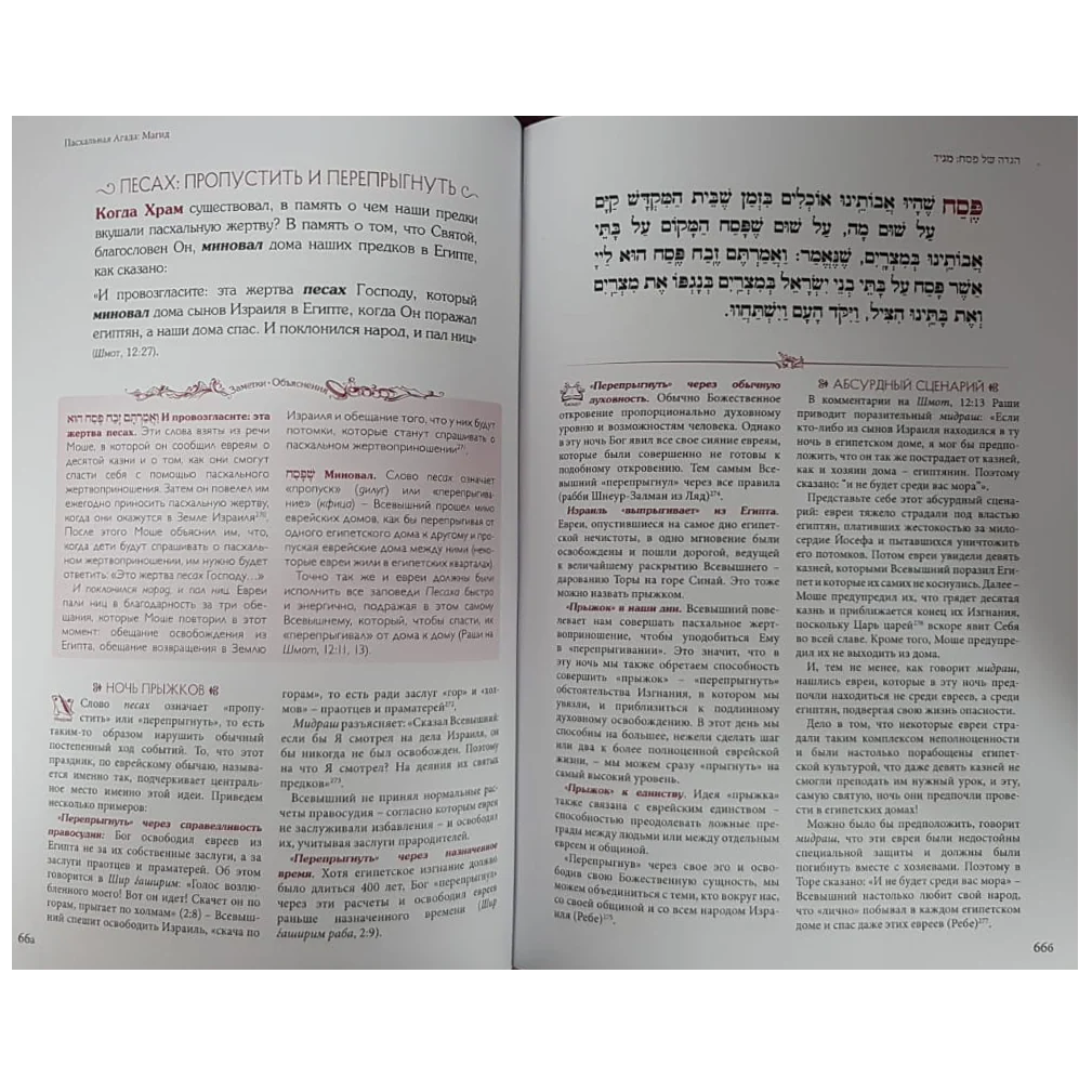 תמונת מוצר 2