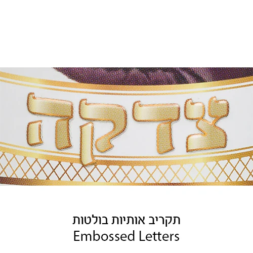 תמונת מוצר 2