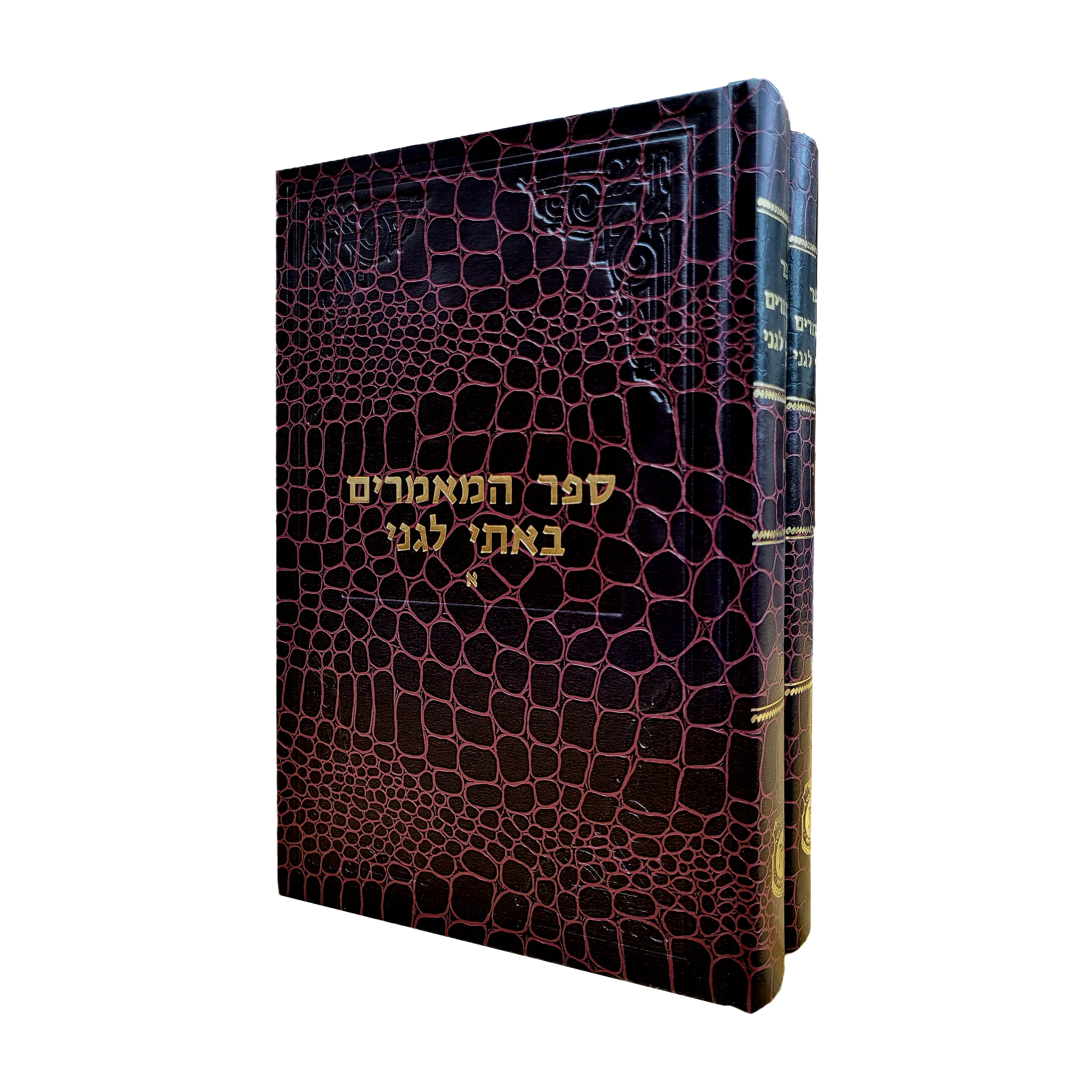 תמונת מוצר 1