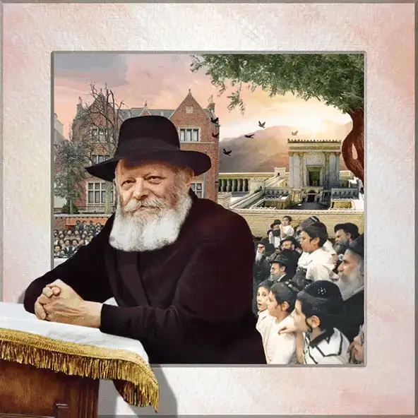 תמונת מוצר 1