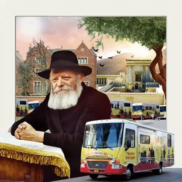 תמונת מוצר 2