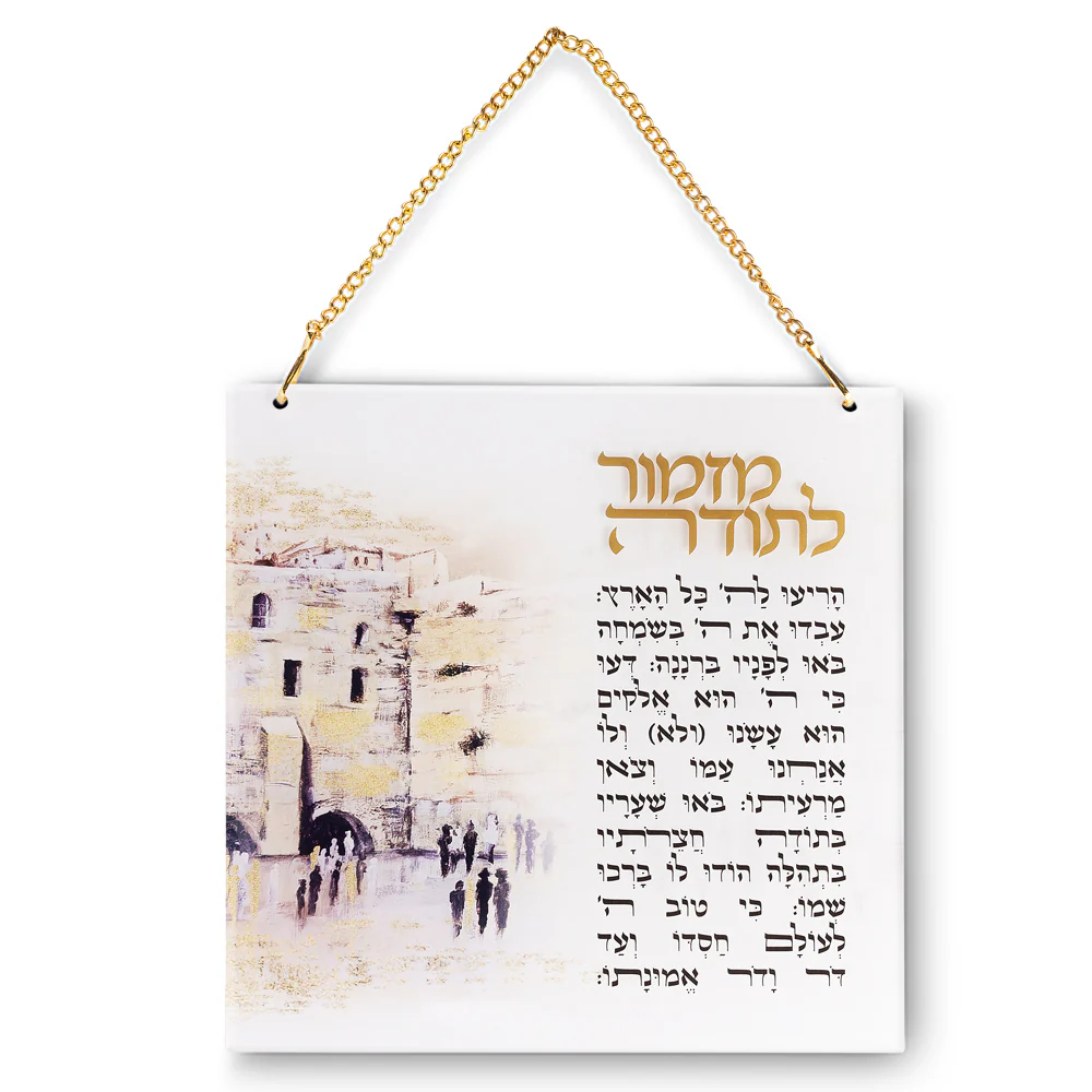 תמונת מוצר 1