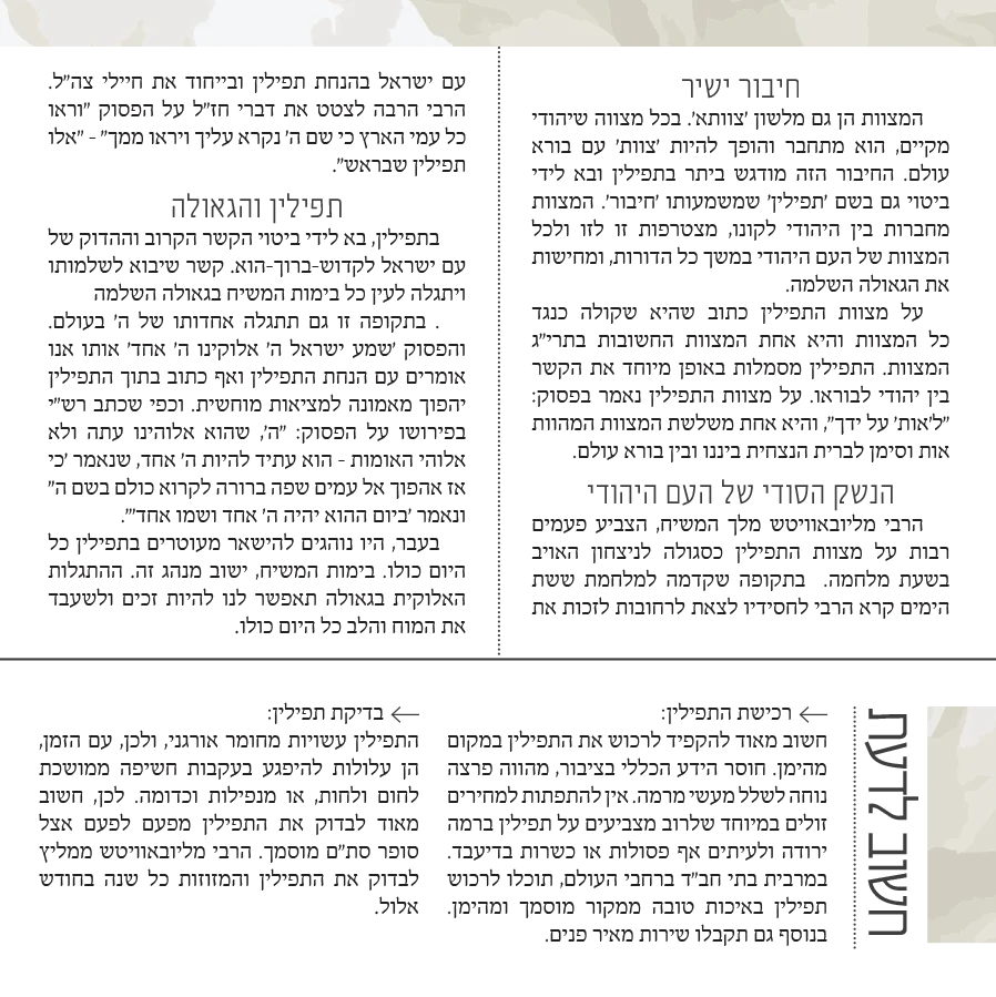 תמונת מוצר 3