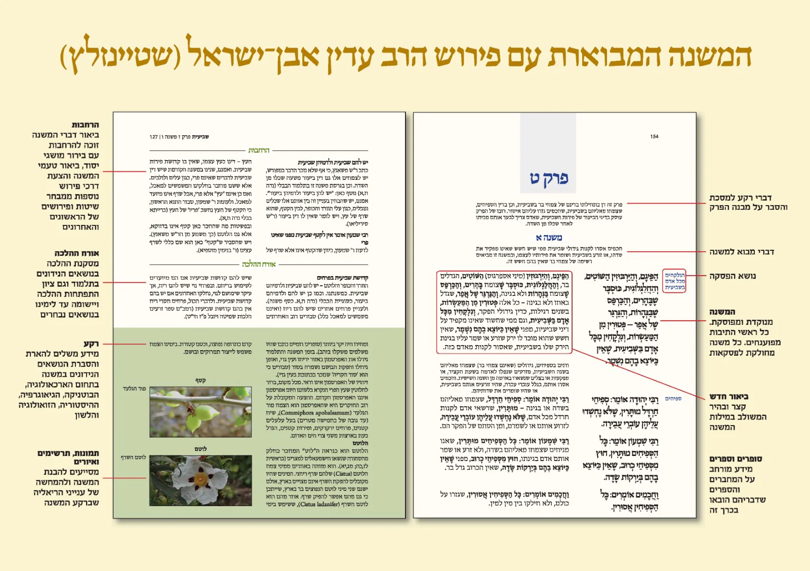 תמונת מוצר 3