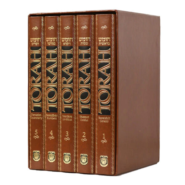 תמונת מוצר 1