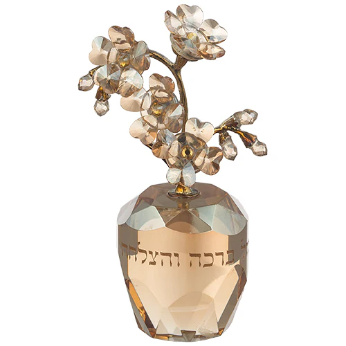 תמונת מוצר 1