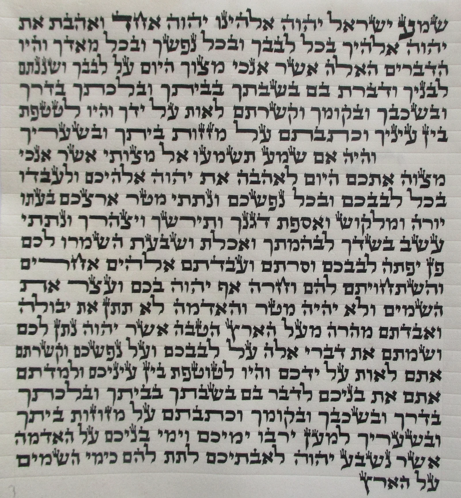 תמונת מוצר 1