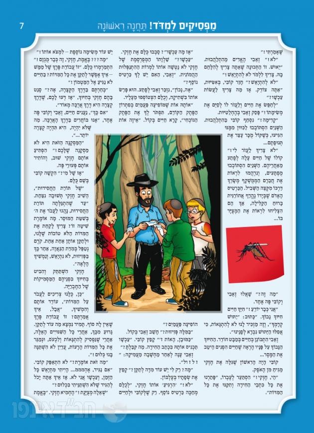 תמונת מוצר 3