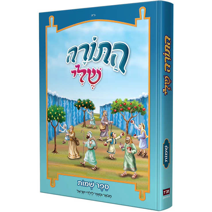 תמונת מוצר 3