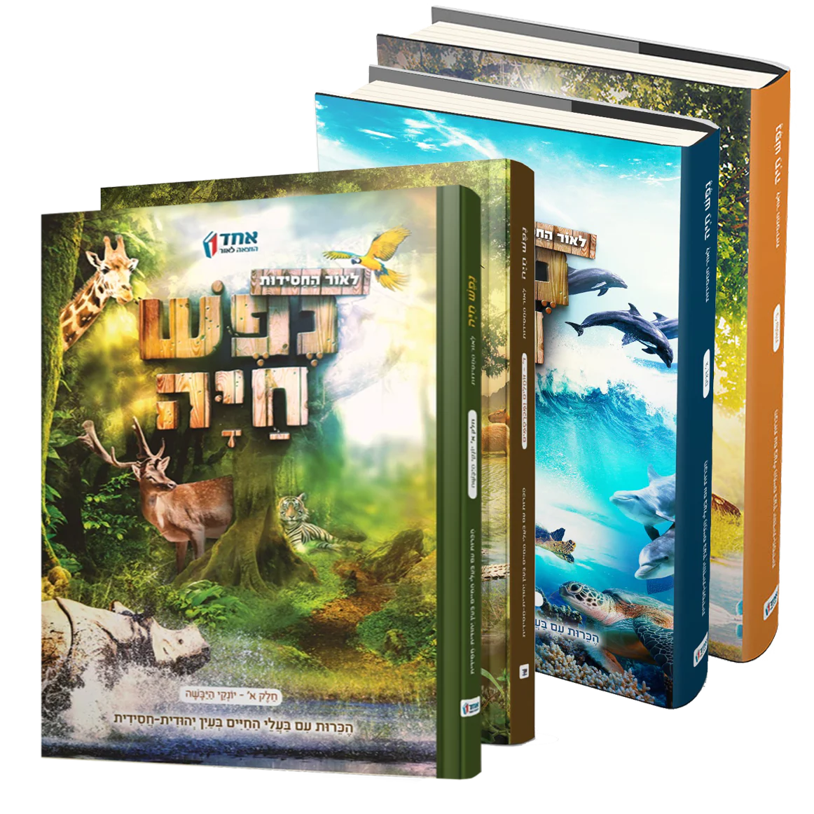 תמונת מוצר 1