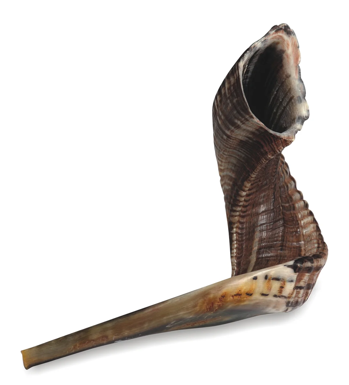 תמונת מוצר 1