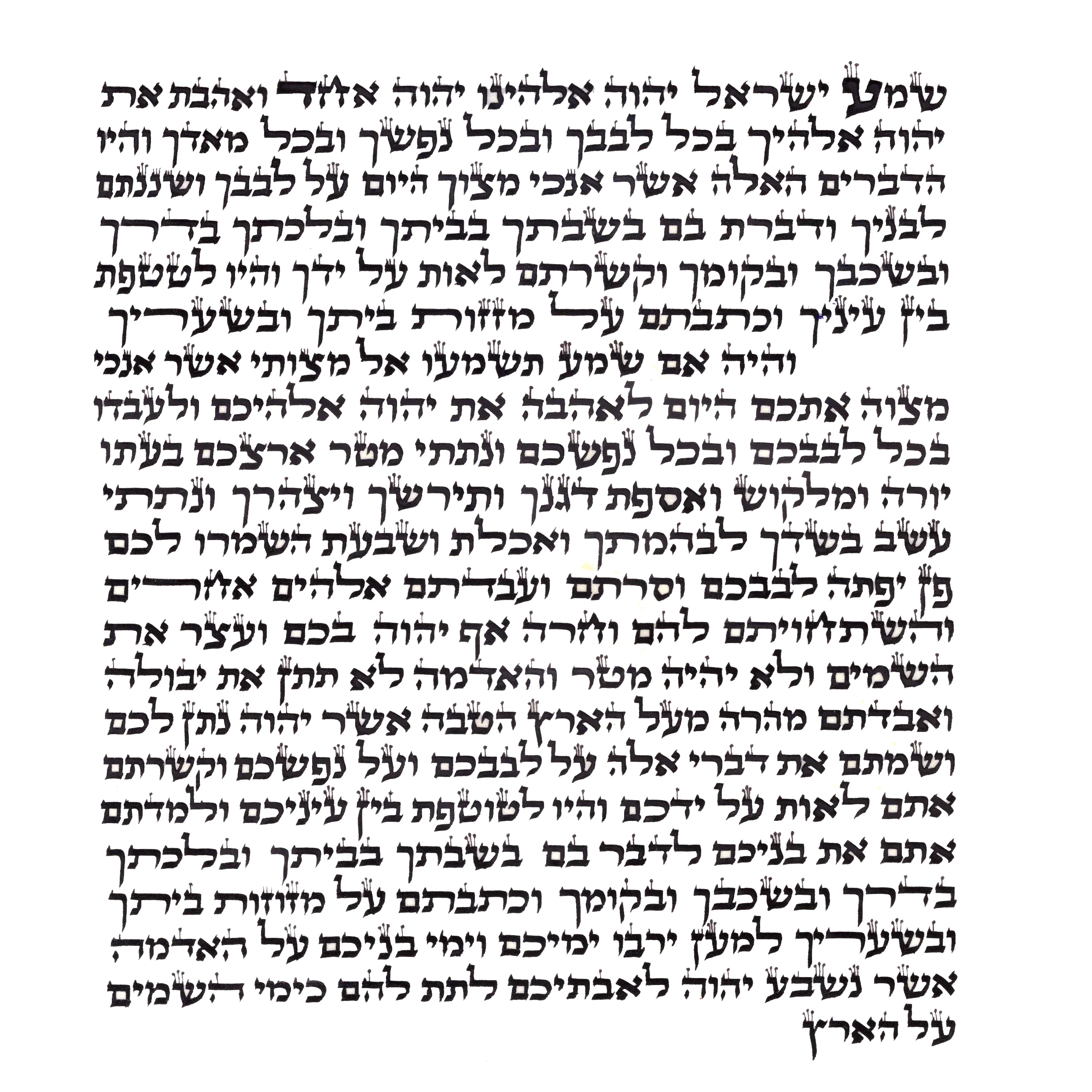 תמונת מוצר 1